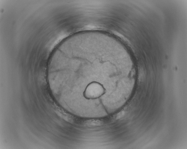 X0000070861314200607071848