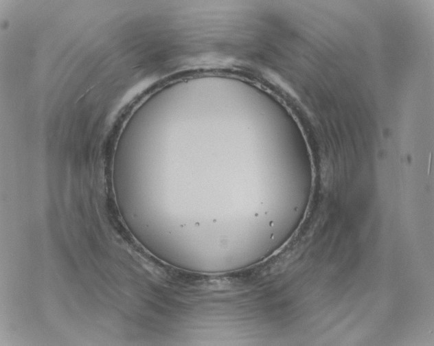 X0000070861315200607071848