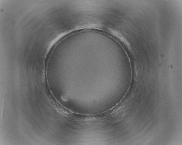 X0000070861316200607071848