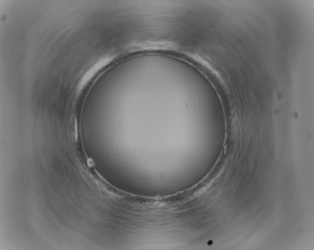 X0000070861317200607071848