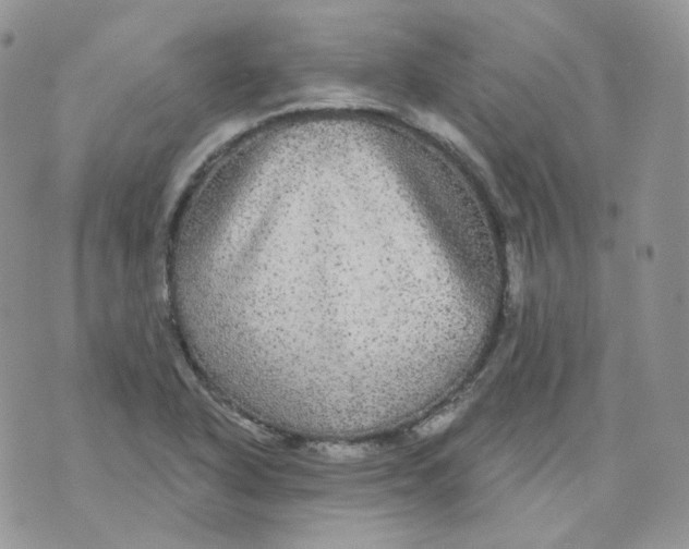 X0000070861318200607071848