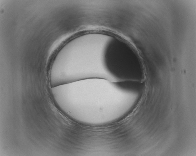 X0000070861319200607071848