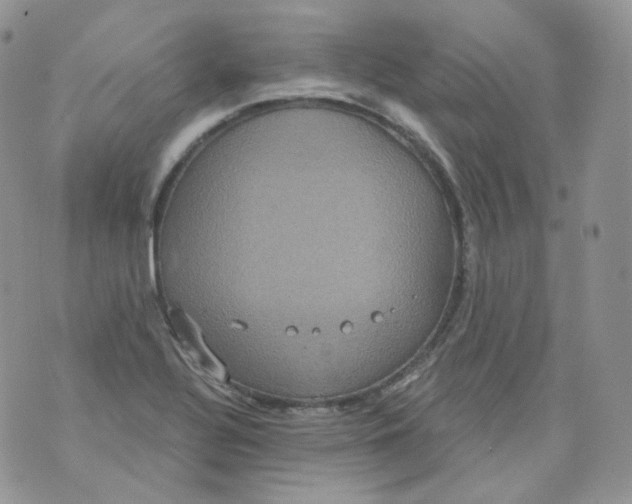 X0000070861320200607071848