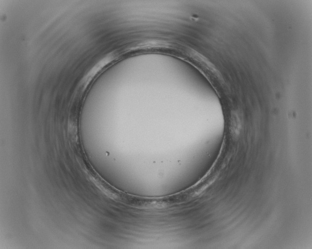 X0000070861321200607071848