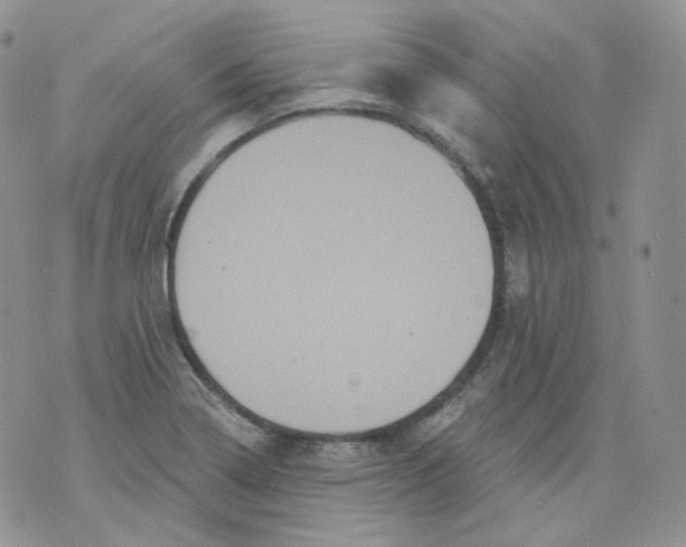 X0000070861322200607071848