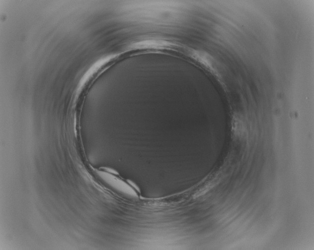 X0000070861323200607071848