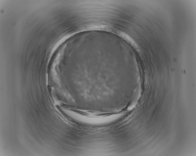 X0000070861324200607071848