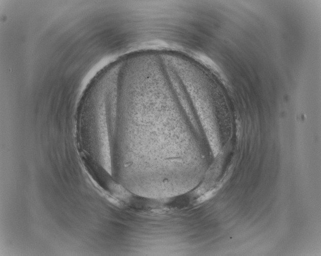 X0000070861326200607071848