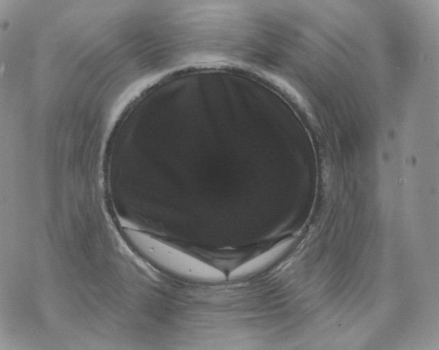 X0000070861327200607071848