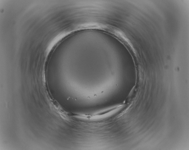 X0000070861328200607071848