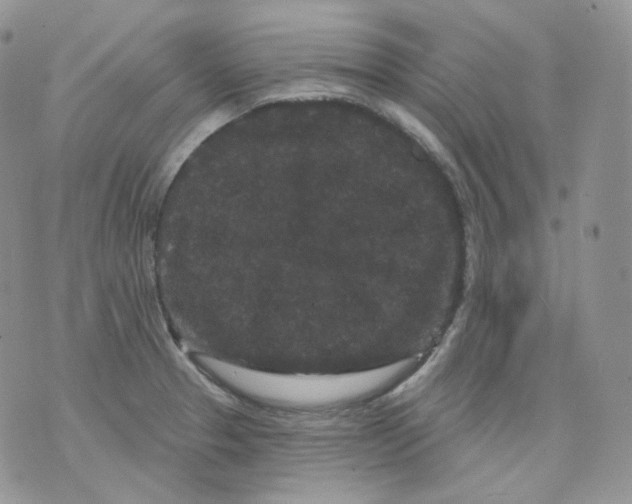 X0000070861329200607071848