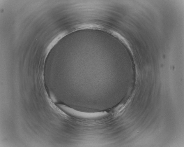 X0000070861330200607071848