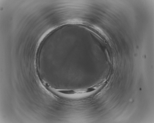 X0000070861331200607071848