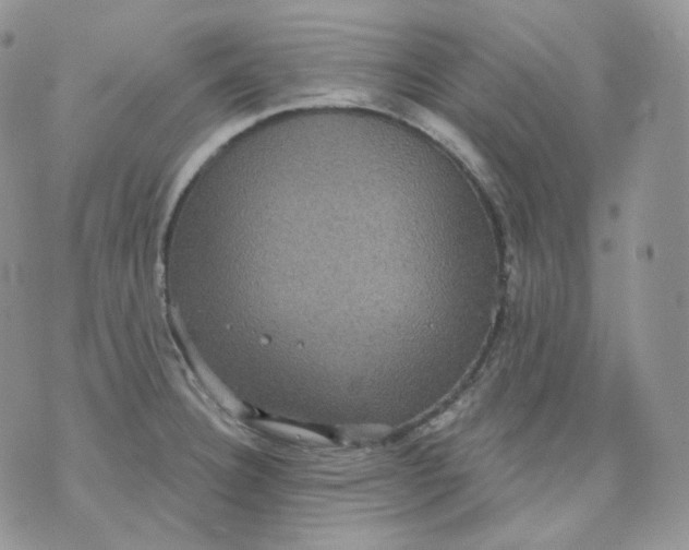 X0000070861332200607071848