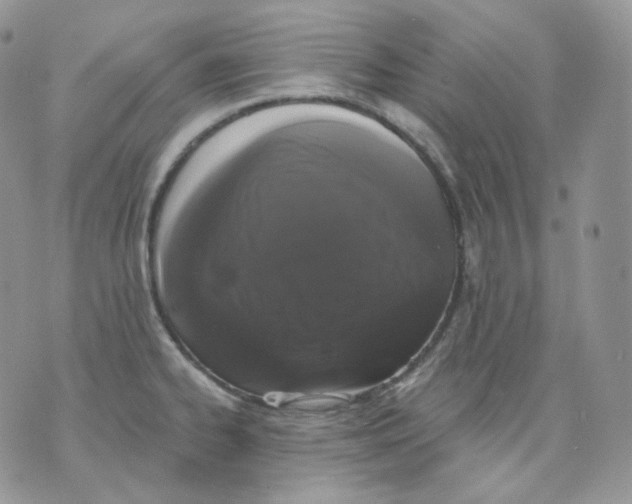 X0000070861334200607071848