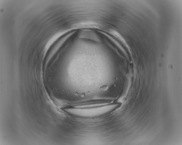 X0000070861336200607071848