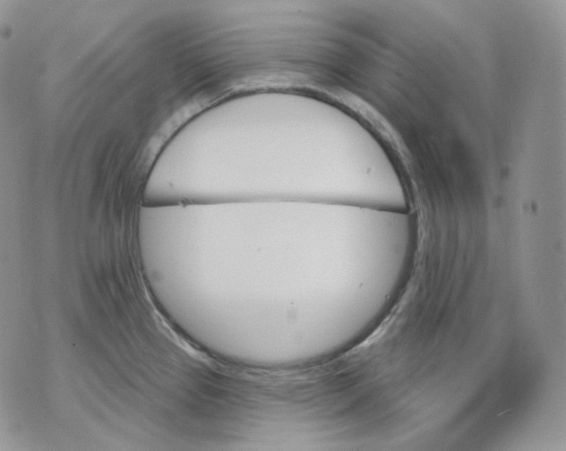 X0000070861337200607071848