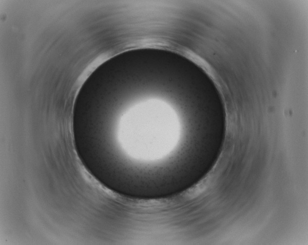 X0000070861338200607071848