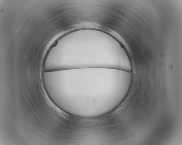 X0000070861339200607071848