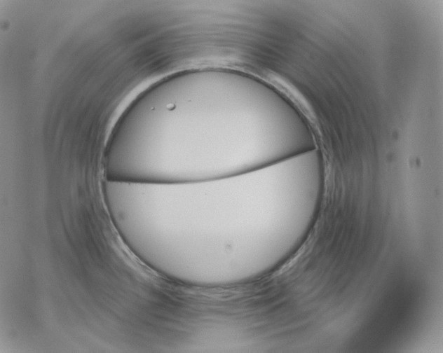 X0000070861340200607071848