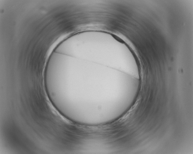 X0000070861341200607071848