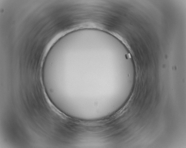 X0000070861342200607071848