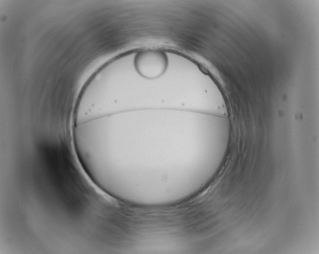 X0000070861343200607071848