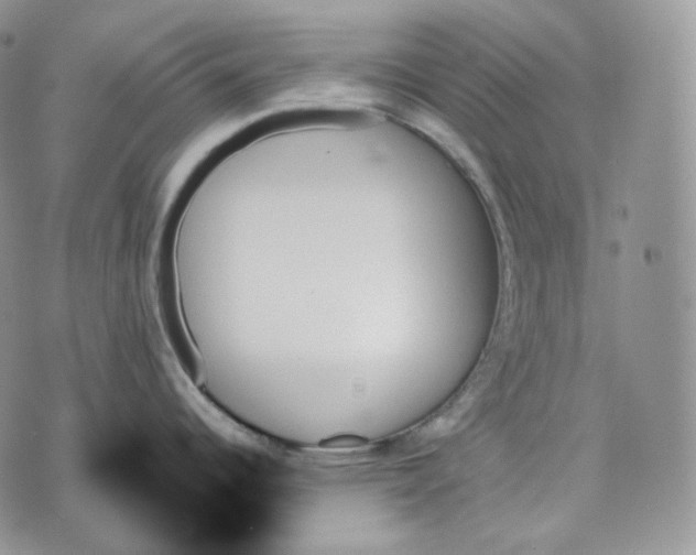 X0000070861344200607071848