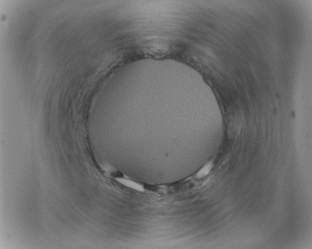 X0000070861345200607071847