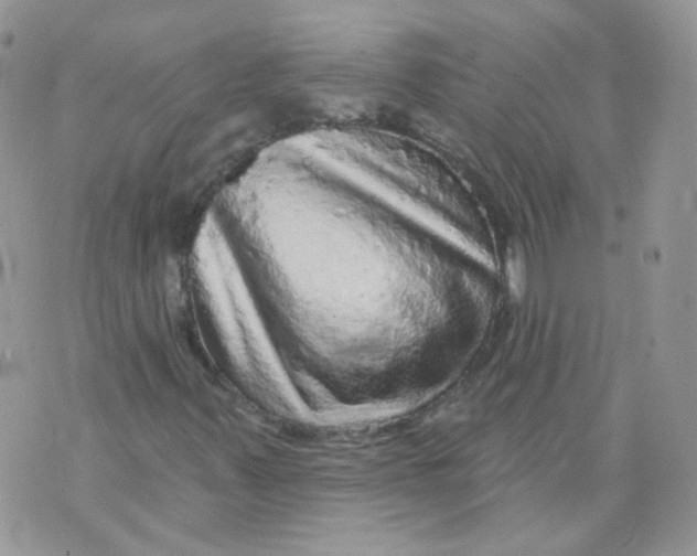 X0000070861347200607071847