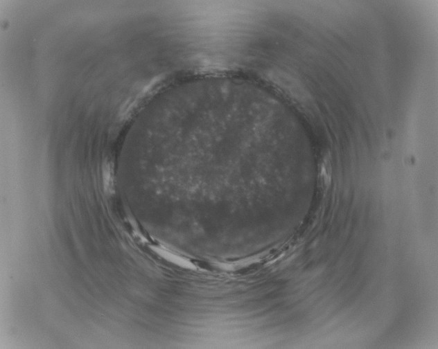 X0000070861348200607071847