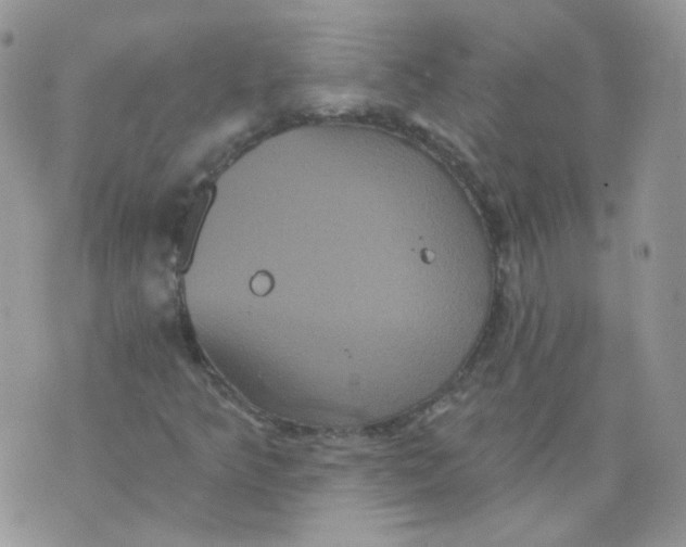 X0000070861349200607071847