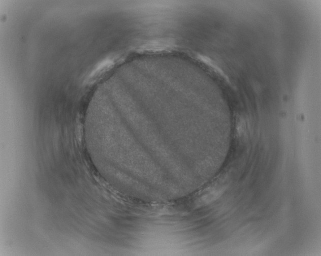 X0000070861350200607071847