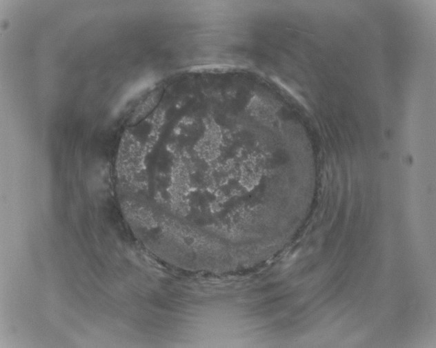 X0000070861351200607071847