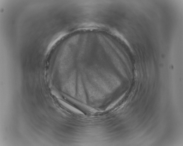 X0000070861352200607071847