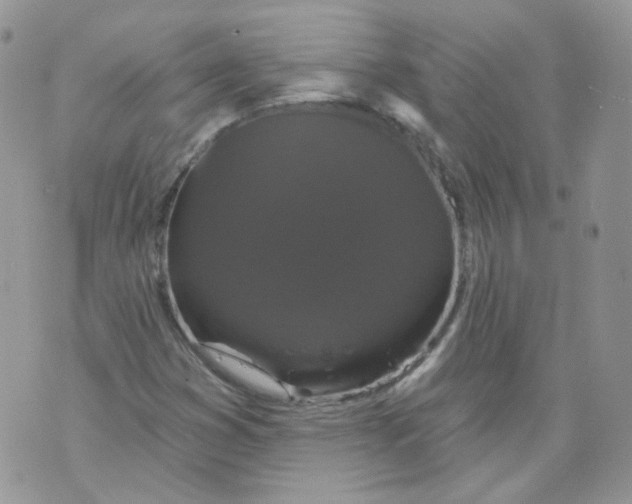 X0000070861353200607071847