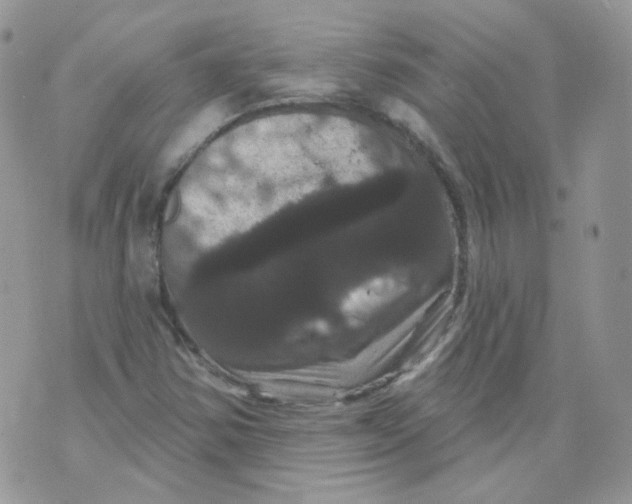 X0000070861354200607071847