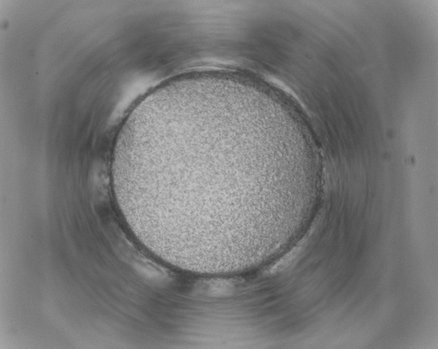 X0000070861355200607071847