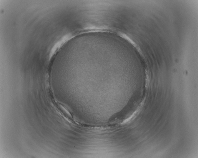 X0000070861357200607071847