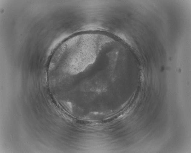 X0000070861358200607071847