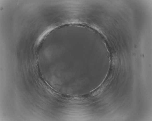 X0000070861359200607071847