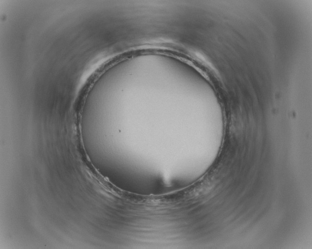 X0000070861360200607071847