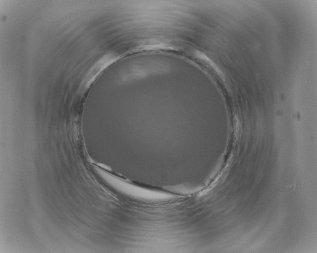 X0000070861361200607071847