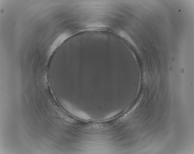 X0000070861362200607071847