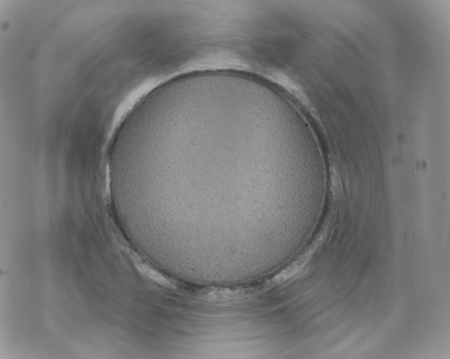 X0000070861366200607071847