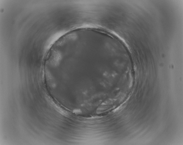 X0000070861367200607071847