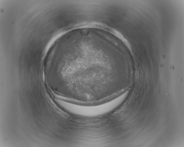 X0000070861368200607071847