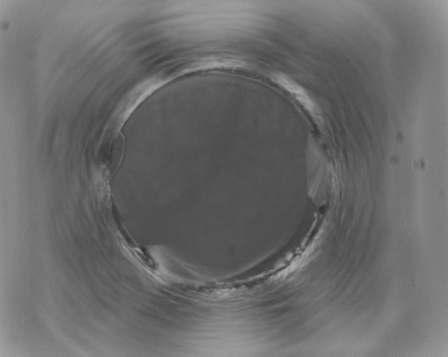 X0000070861369200607071847