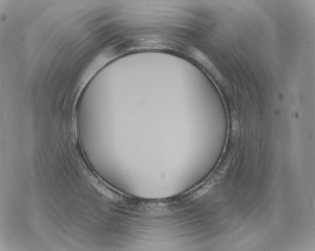 X0000070861370200607071847