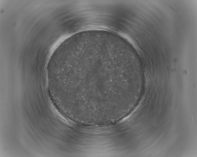 X0000070861371200607071847